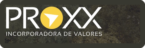 PROXX Incorporadora de Valores